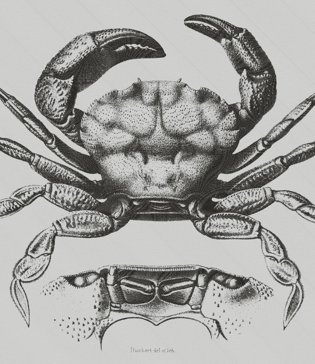 Line Engraving Effect - image 15 - student project