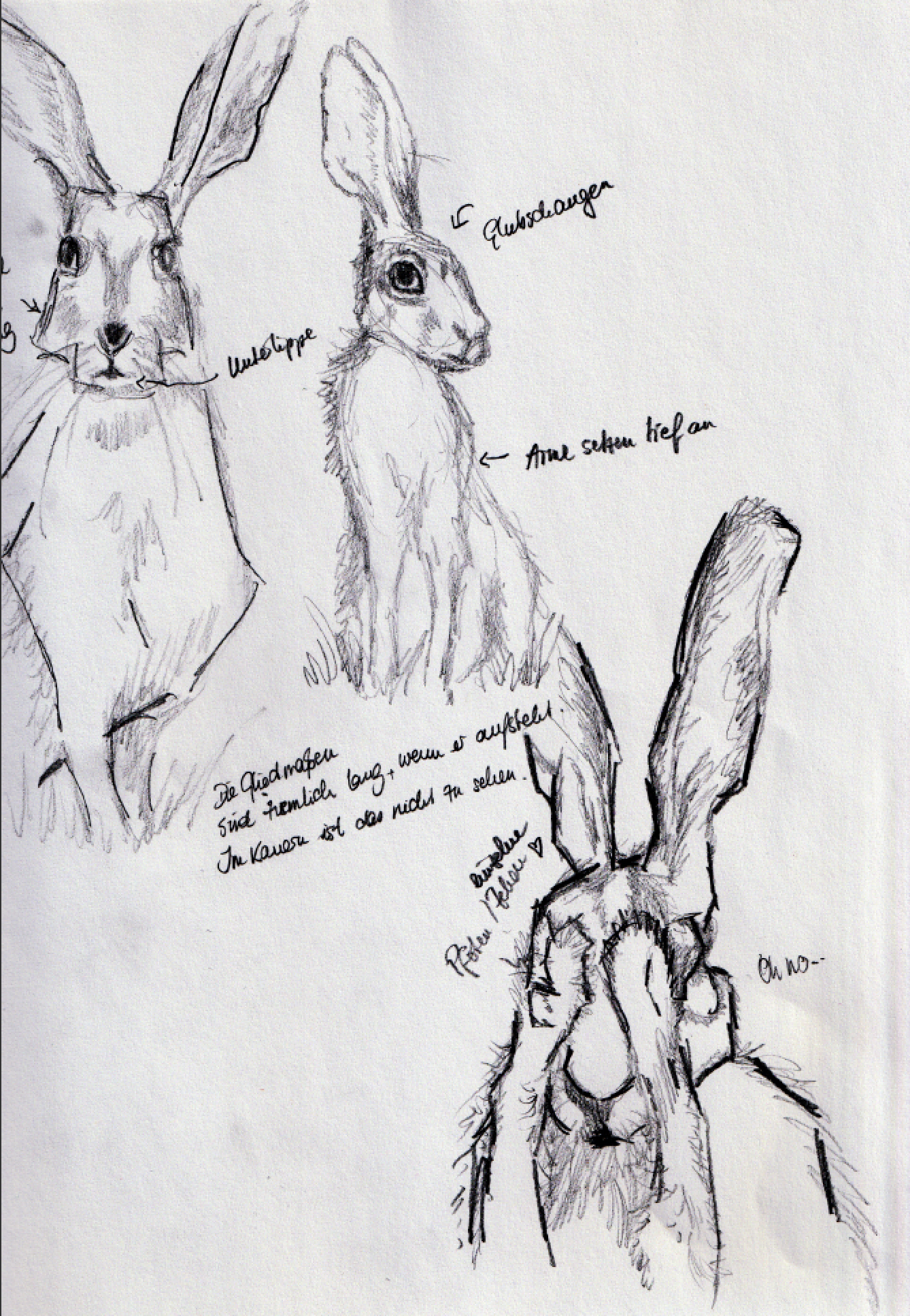 Lost Easter bunnies - image 4 - student project