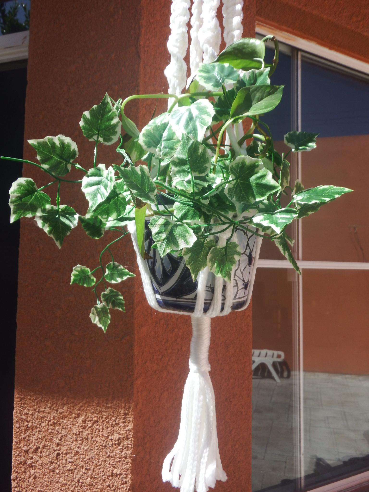 My first Macramé Hanging - image 2 - student project