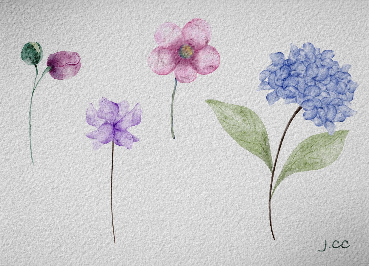 Water color flowers - image 2 - student project
