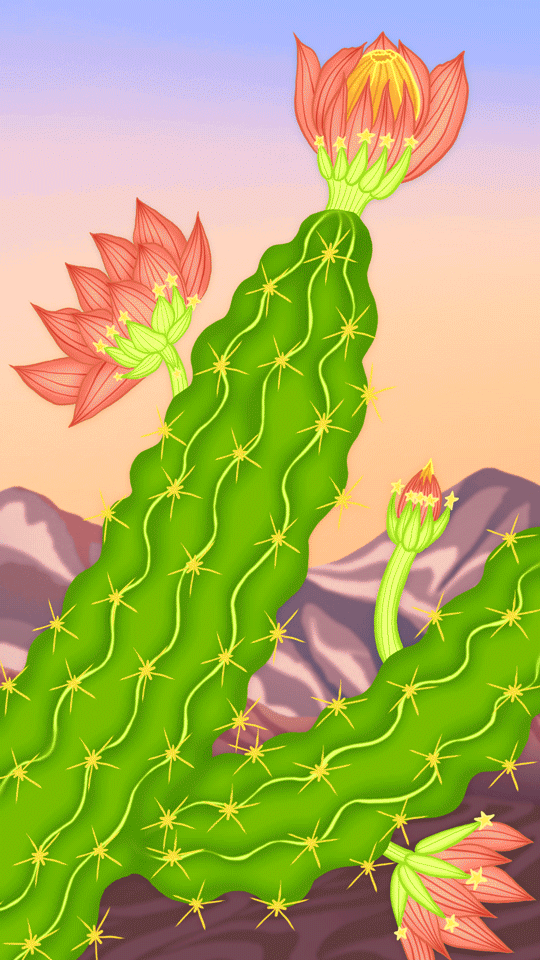 Loop animation: Cactus to ice cream - image 1 - student project