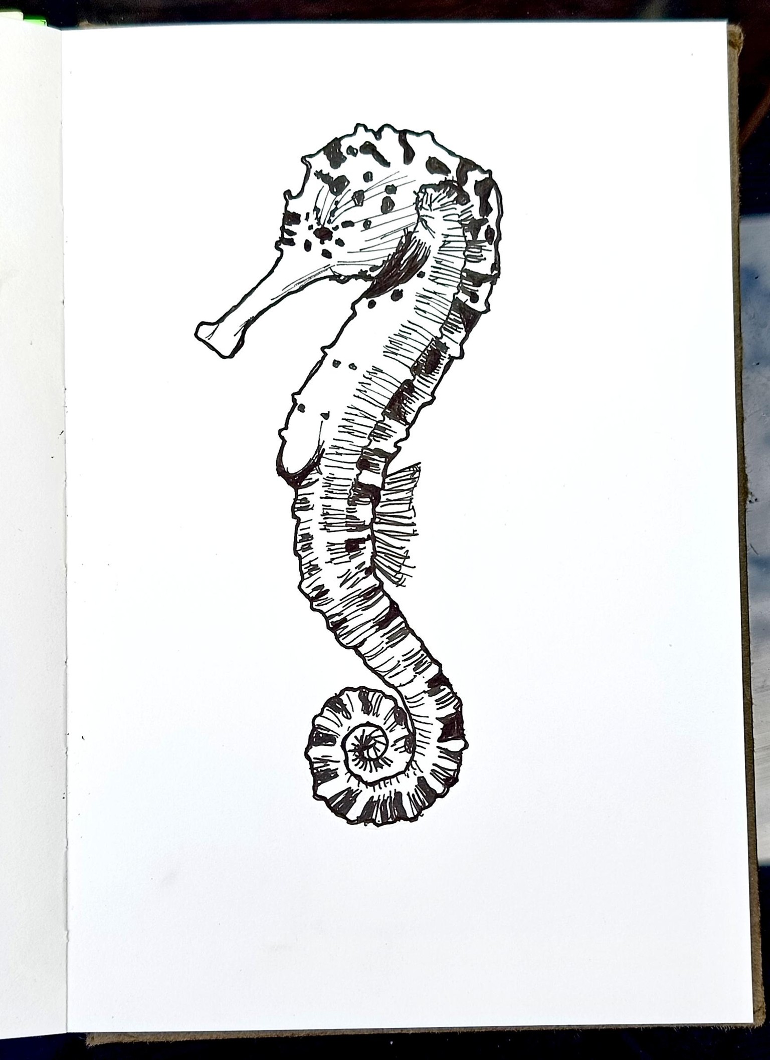 Drawing animals - image 1 - student project