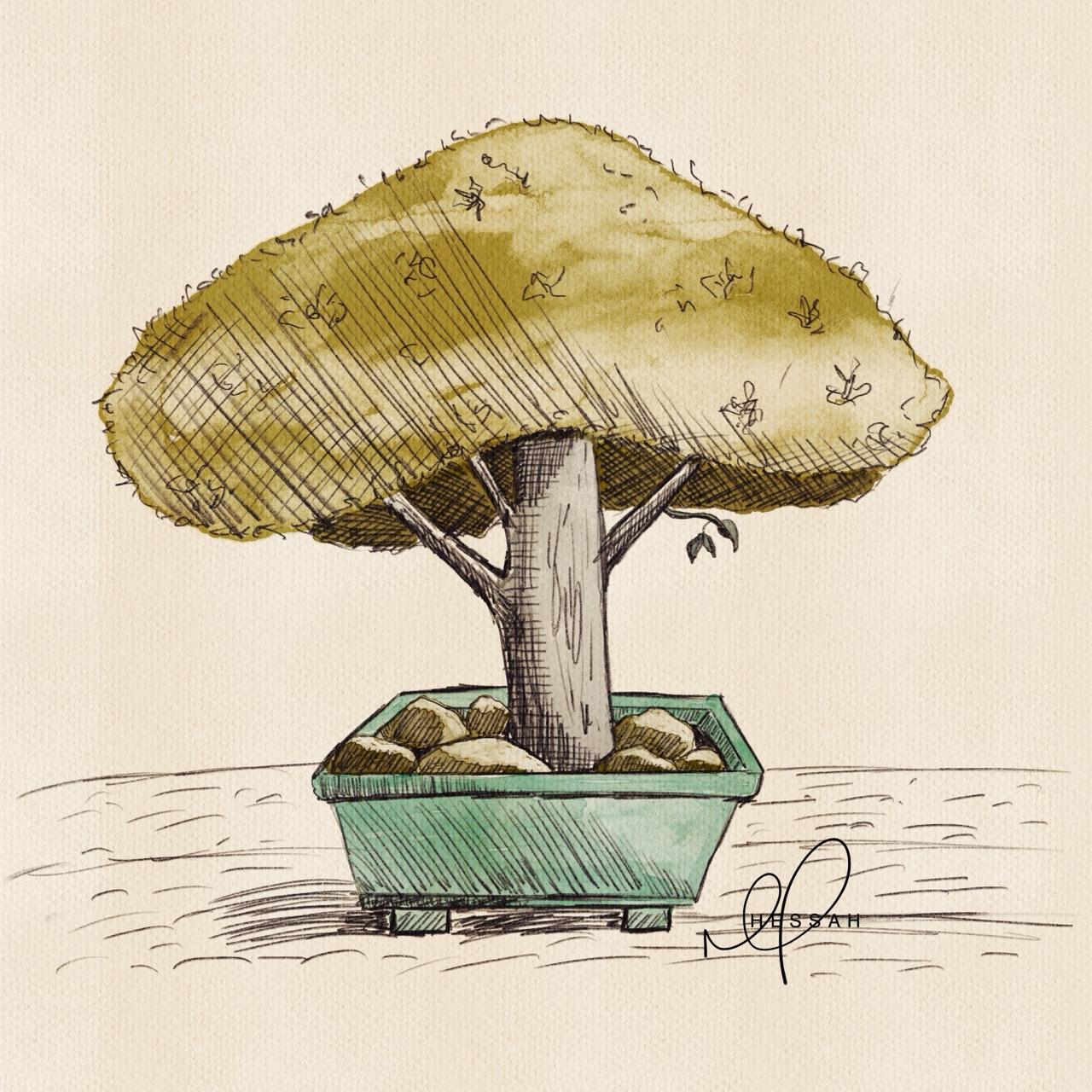 Drawing bonsai trees - image 1 - student project