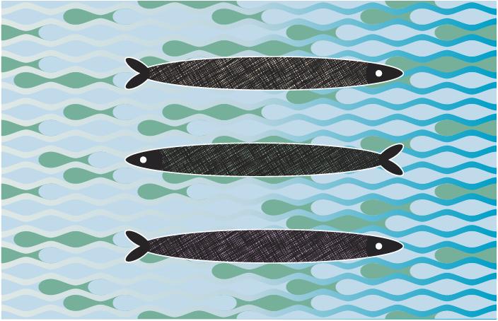 Something's Fishy - Appearance Panel - image 1 - student project