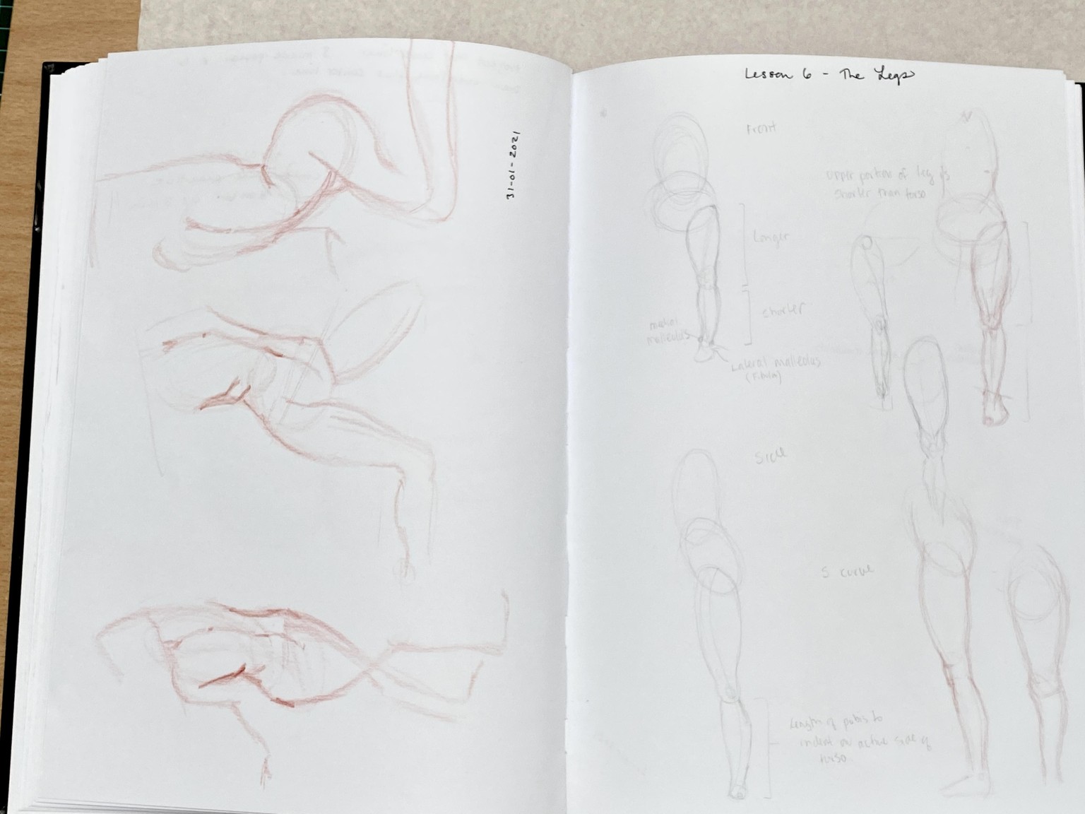 Update 18 April - 2021 : Lori's Gesture drawing project - image 16 - student project