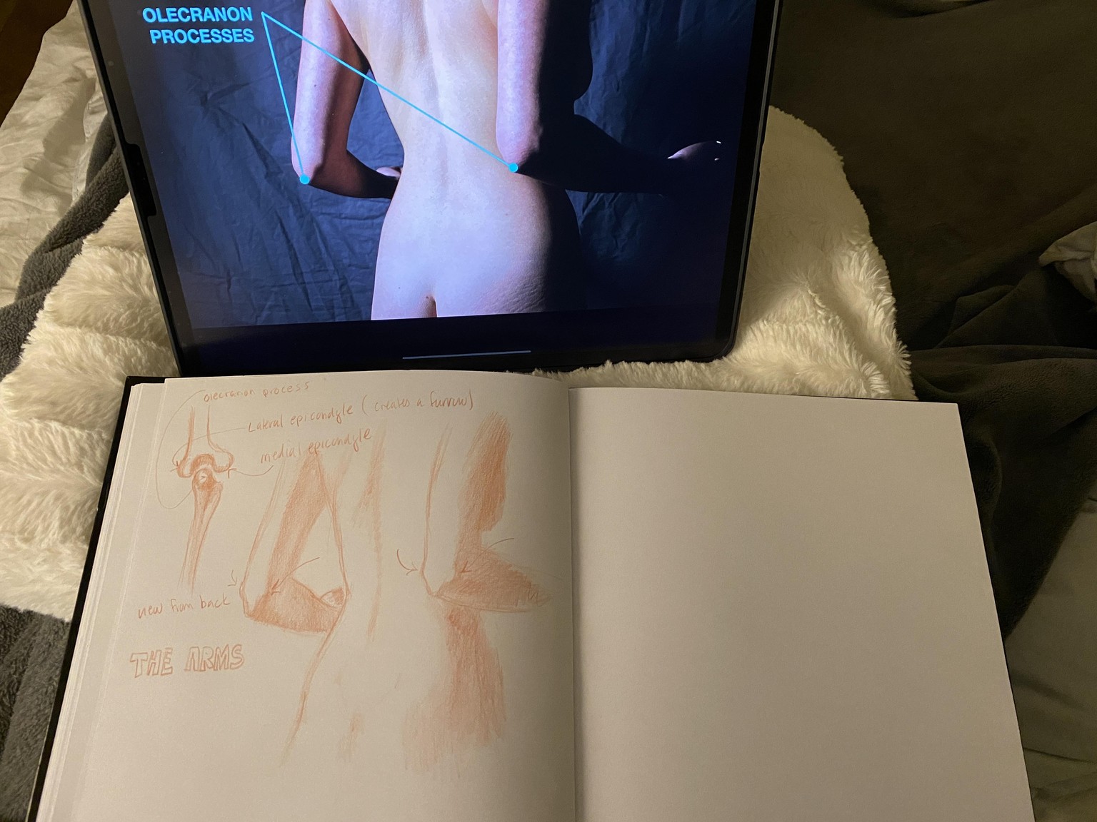 Update 18 April - 2021 : Lori's Gesture drawing project - image 22 - student project