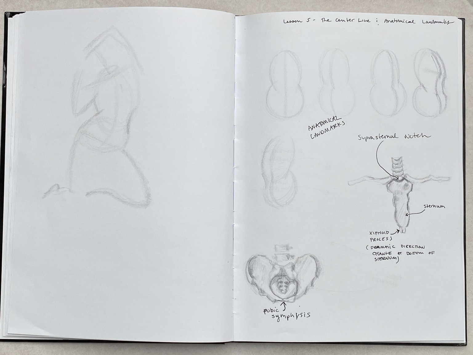 Update 18 April - 2021 : Lori's Gesture drawing project - image 12 - student project