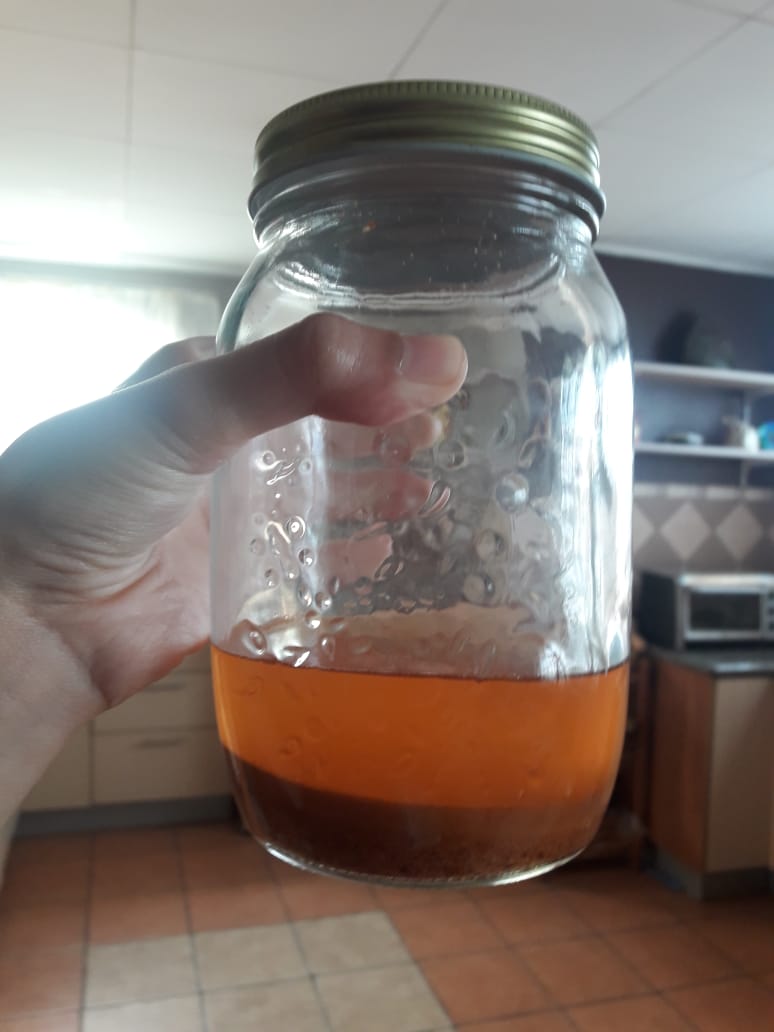 Avocado Pit Dye - image 4 - student project