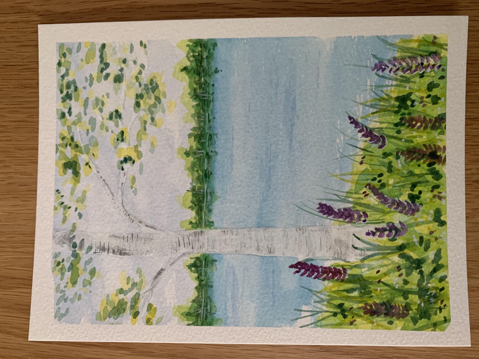Summertime birch tree by lake - image 1 - student project