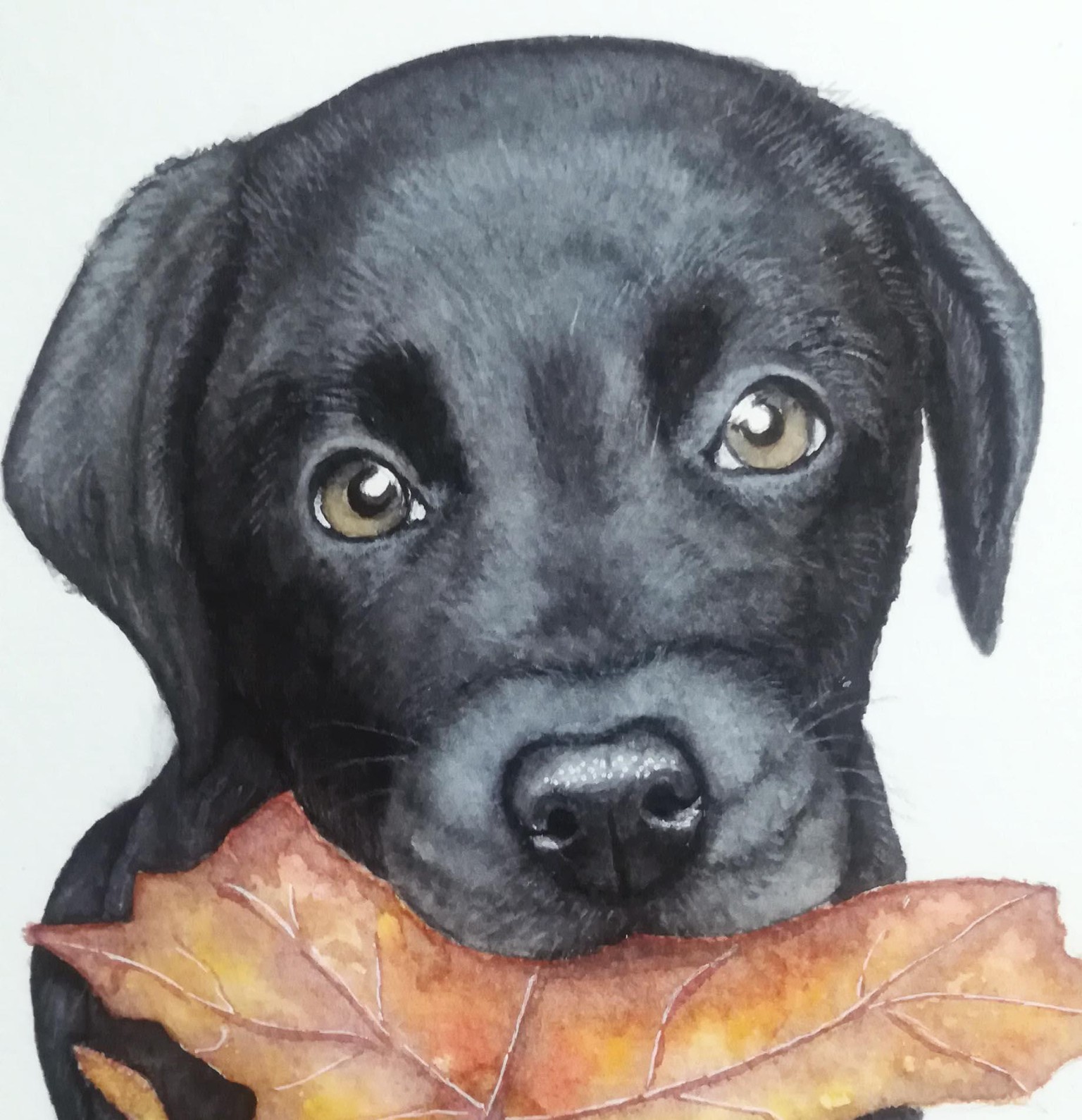Pequeño Labrador - image 2 - student project