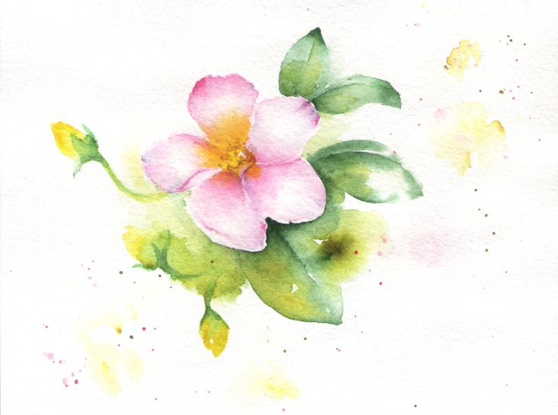 Brave flowers - image 4 - student project