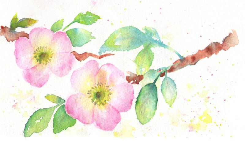 Brave flowers - image 1 - student project