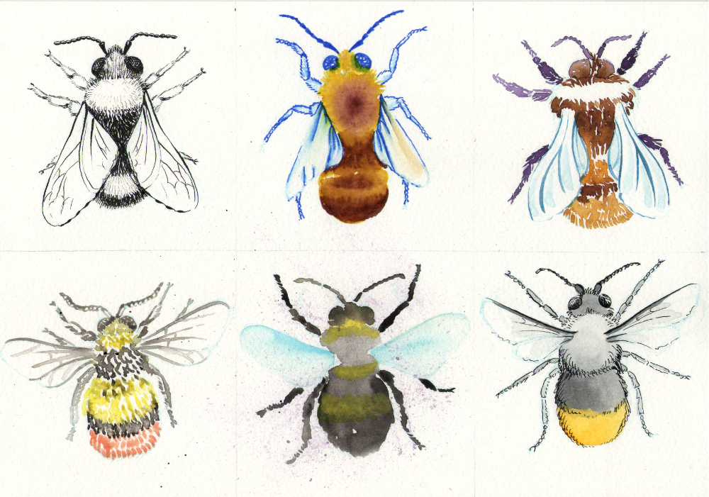 Style explorations - image 6 - student project