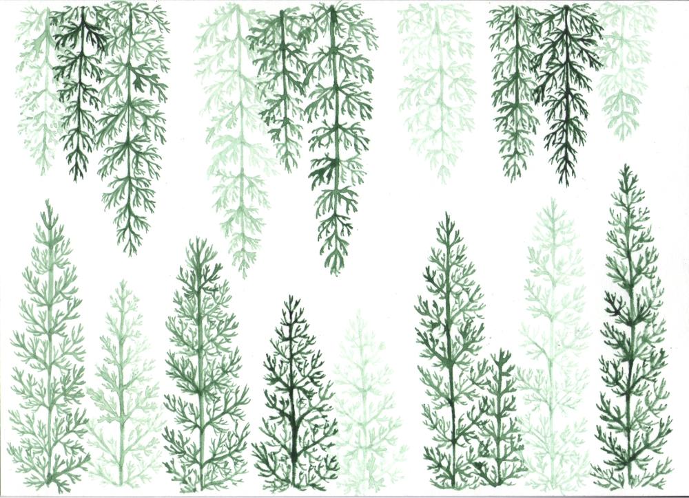 Yarrow pattern - image 7 - student project