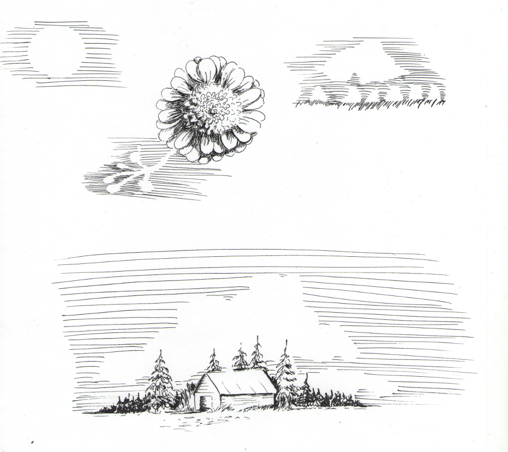 7 days challenge - image 5 - student project