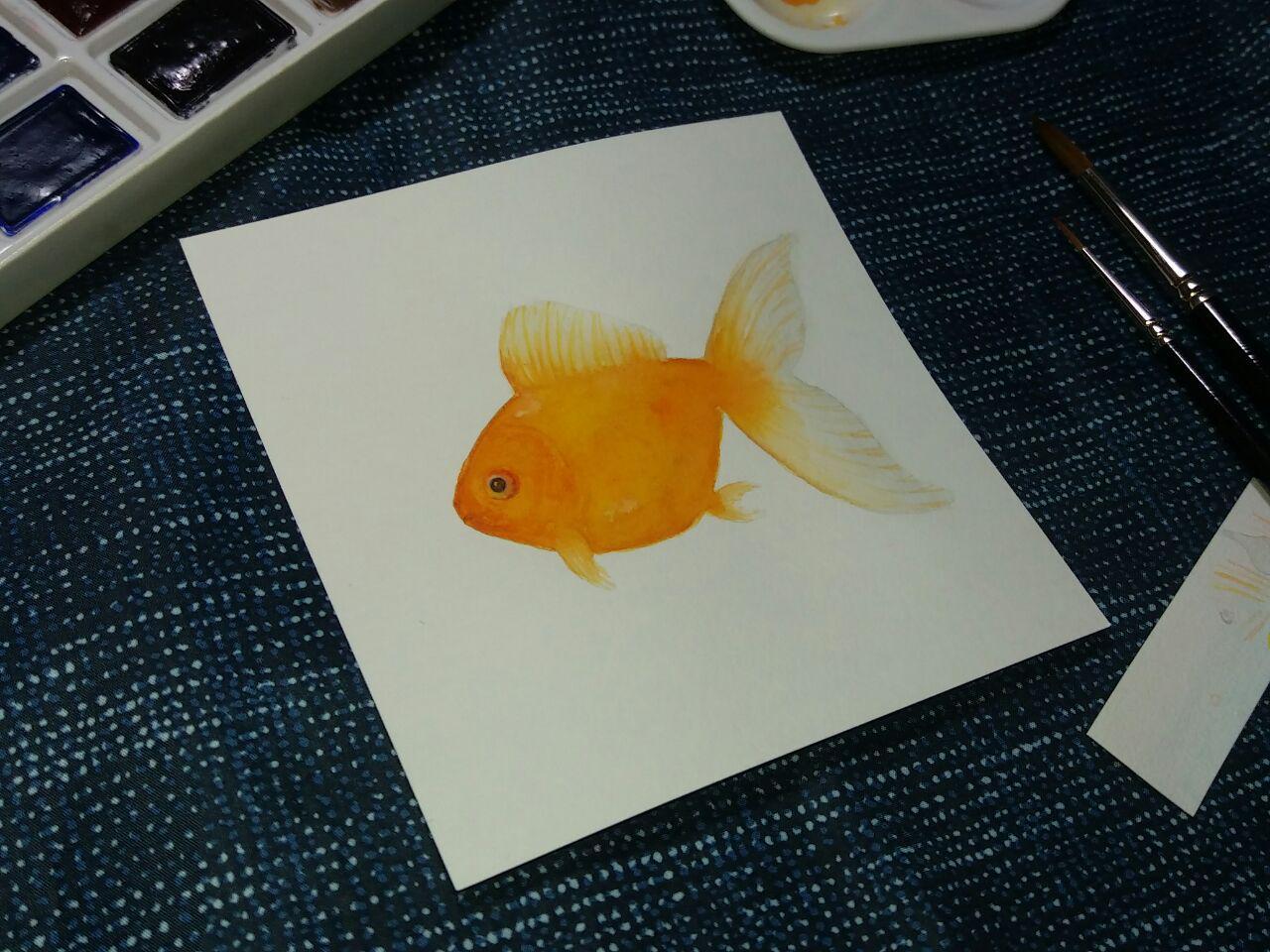 Ian the goldfish - image 3 - student project