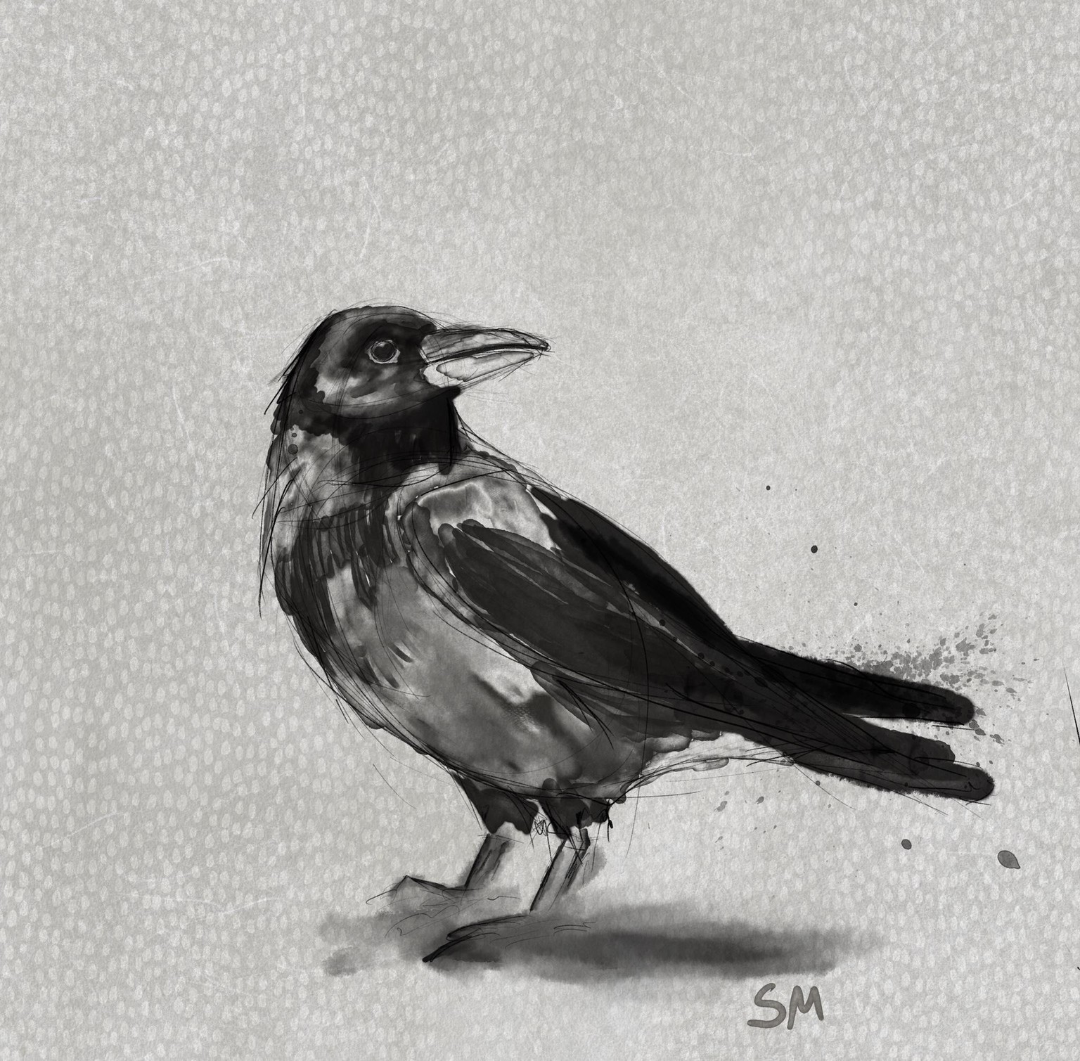 Crow - image 1 - student project