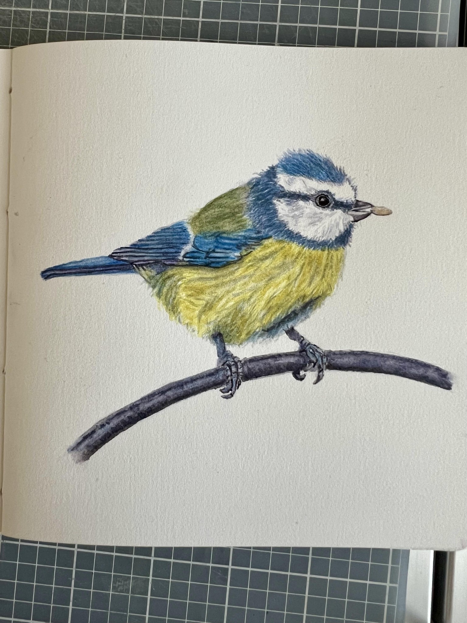 Realistic watercolour bird - image 1 - student project