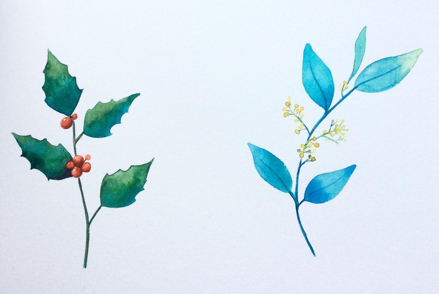 Winter greenery - image 2 - student project
