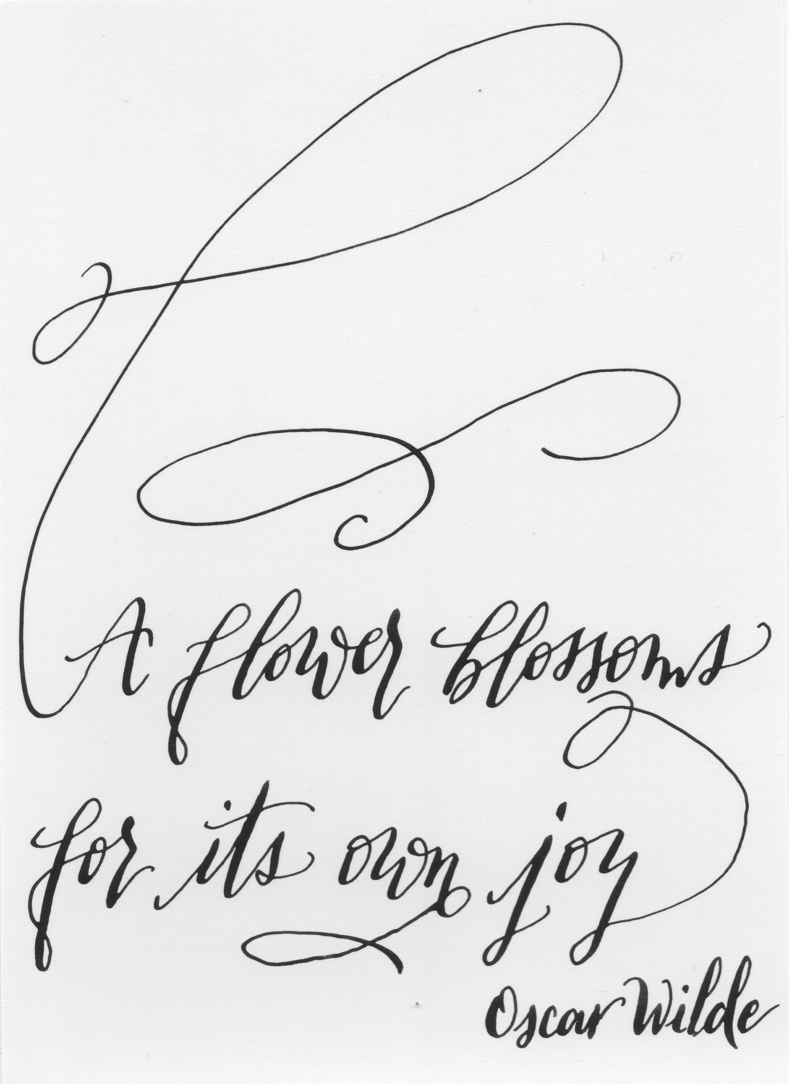 Oscar Wilde Quote - image 1 - student project