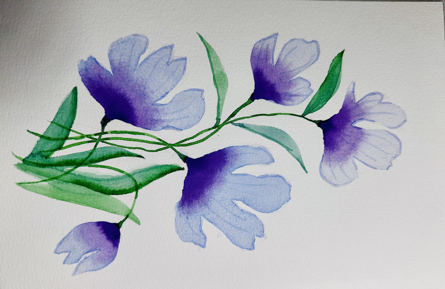 Watercolor Florals - image 2 - student project