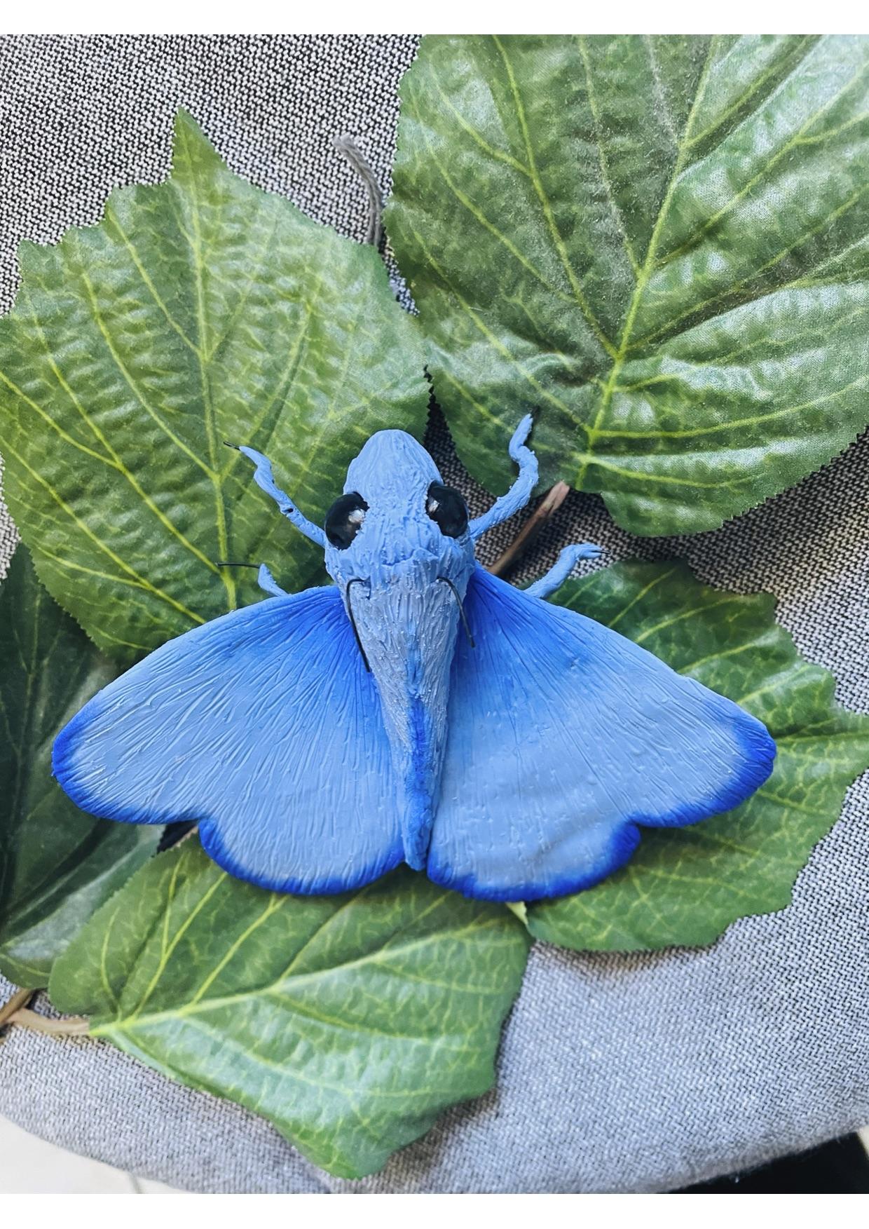 moth - image 1 - student project
