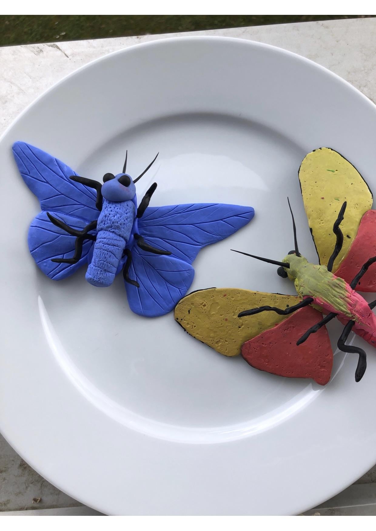 moth - image 2 - student project