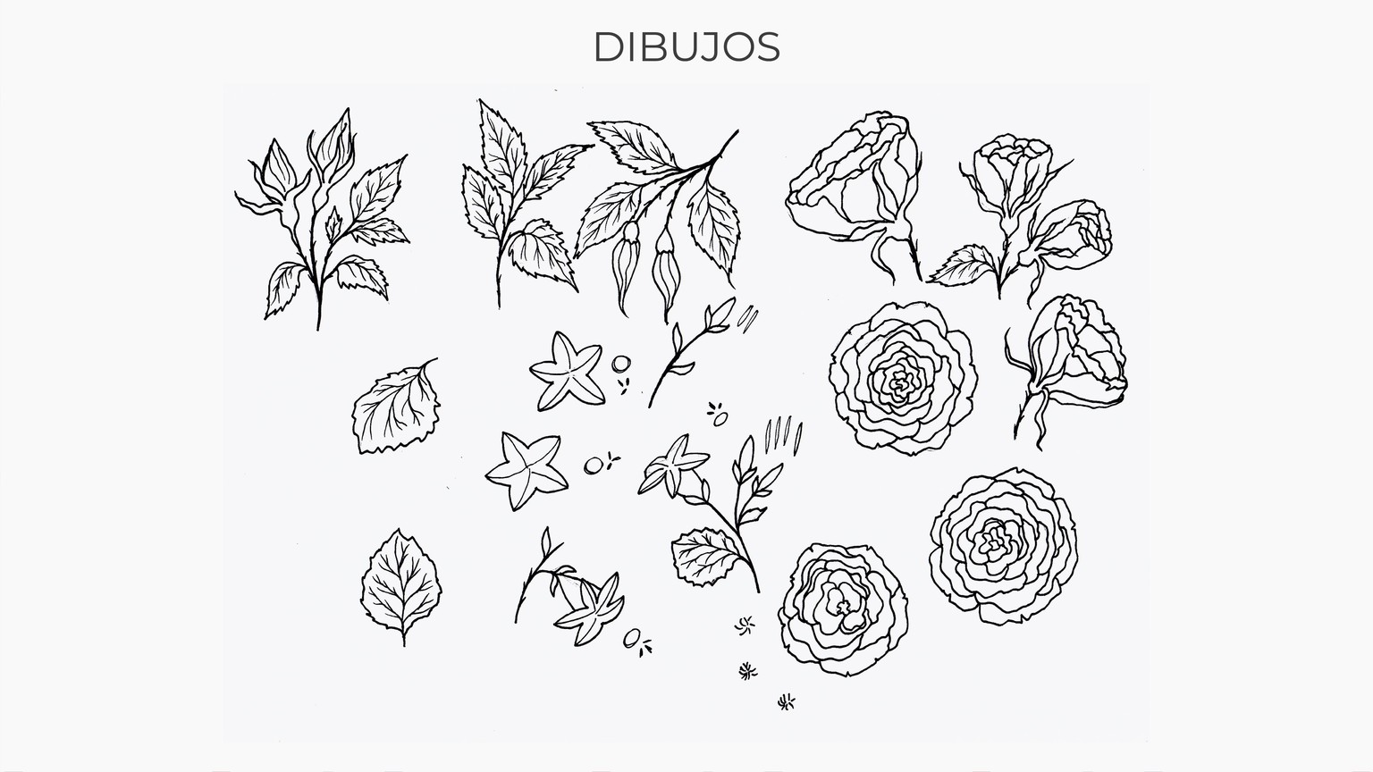 Ejemplo de Proyecto - image 2 - student project