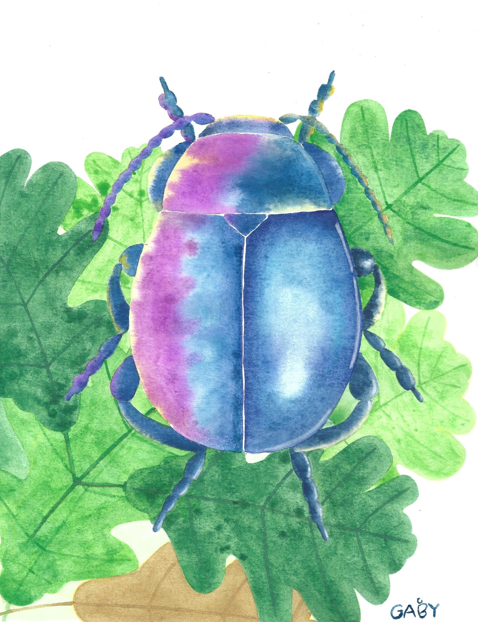 Insect - image 2 - student project