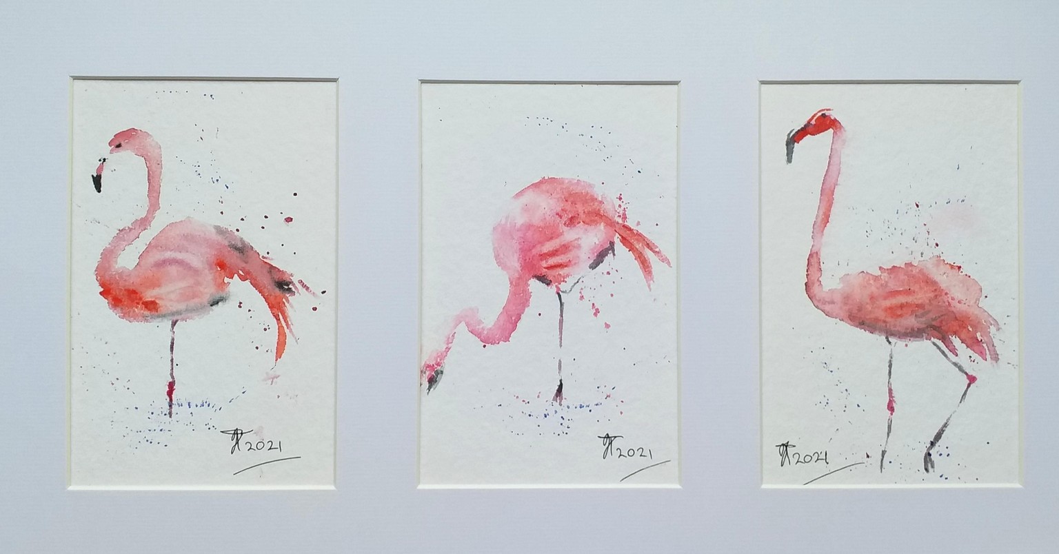 A Tiny Flock of Flamingoes - image 1 - student project
