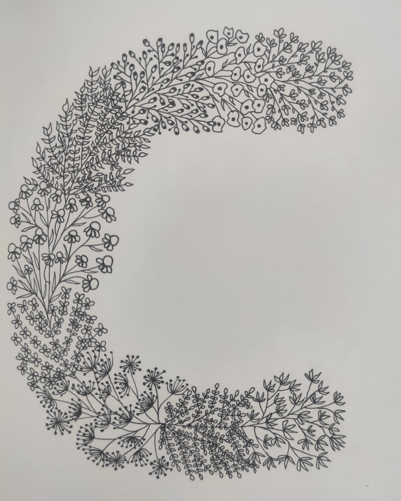 FLORAL DOODLES: EVERYONE CAN DRAW - image 1 - student project