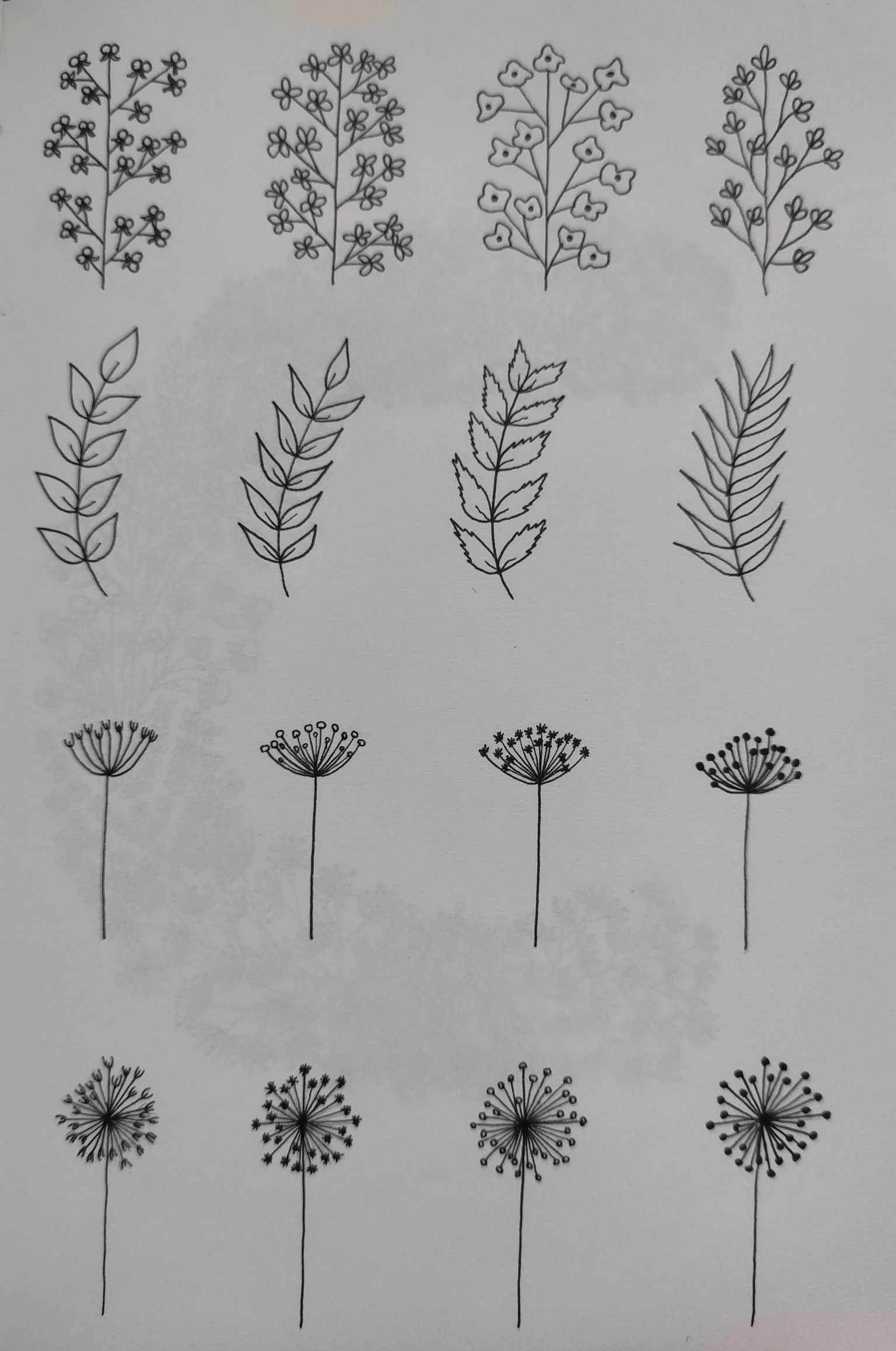 FLORAL DOODLES: EVERYONE CAN DRAW - image 3 - student project