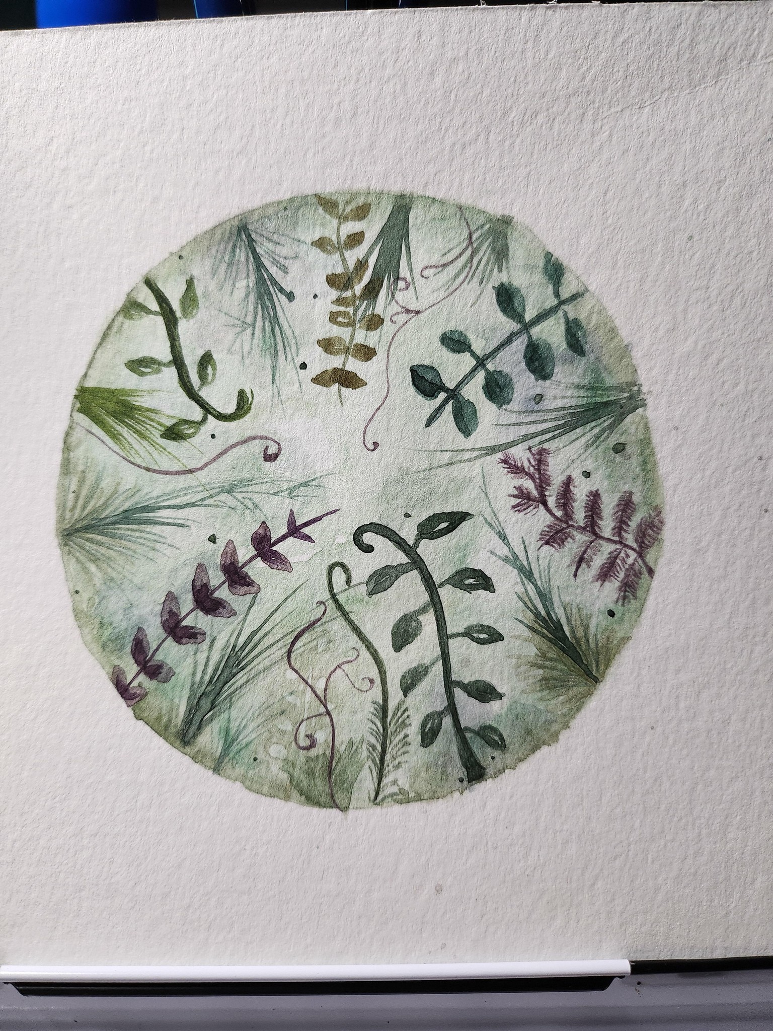 Timid try - image 1 - student project