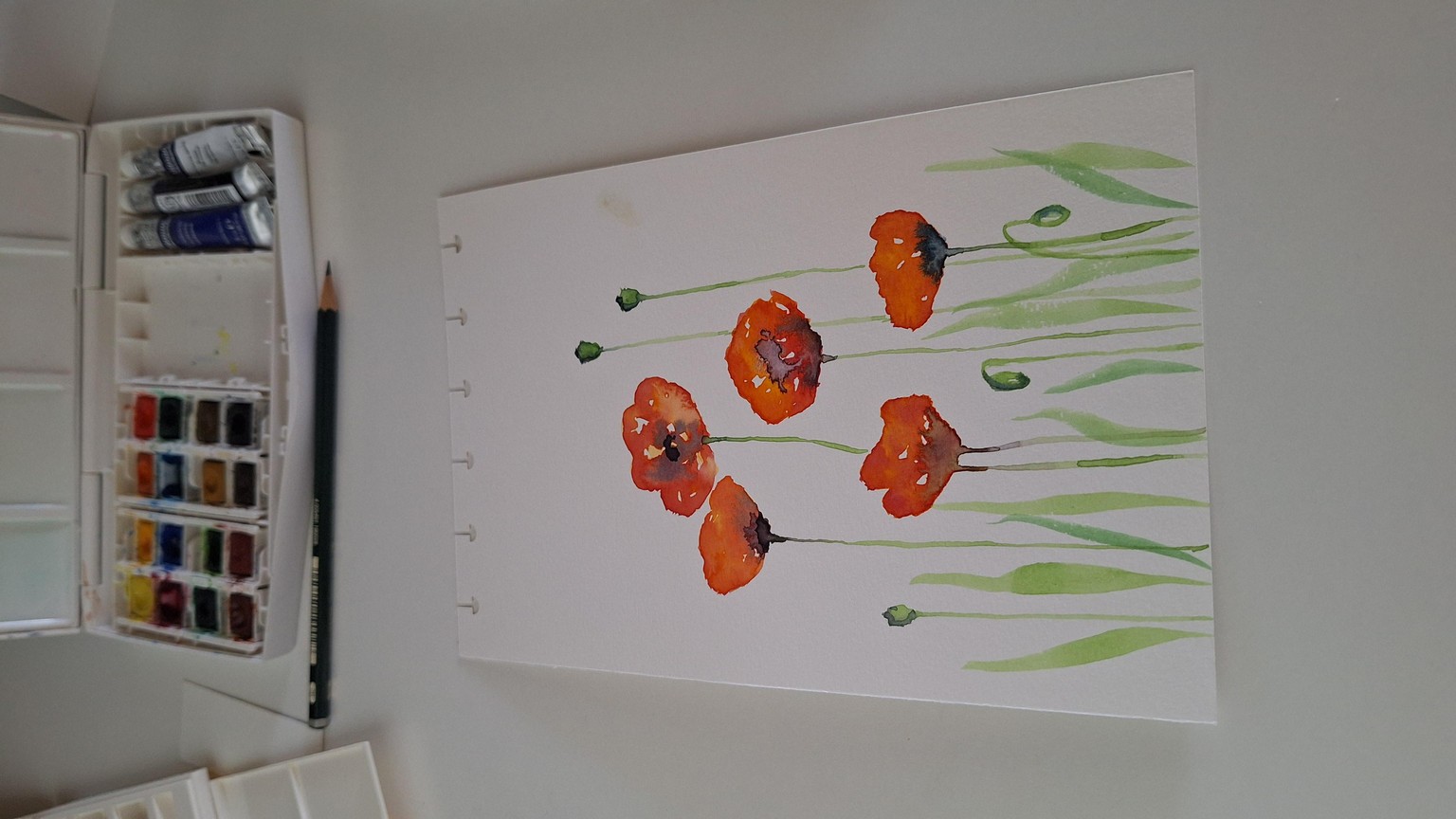 Poppy Flowers - image 1 - student project