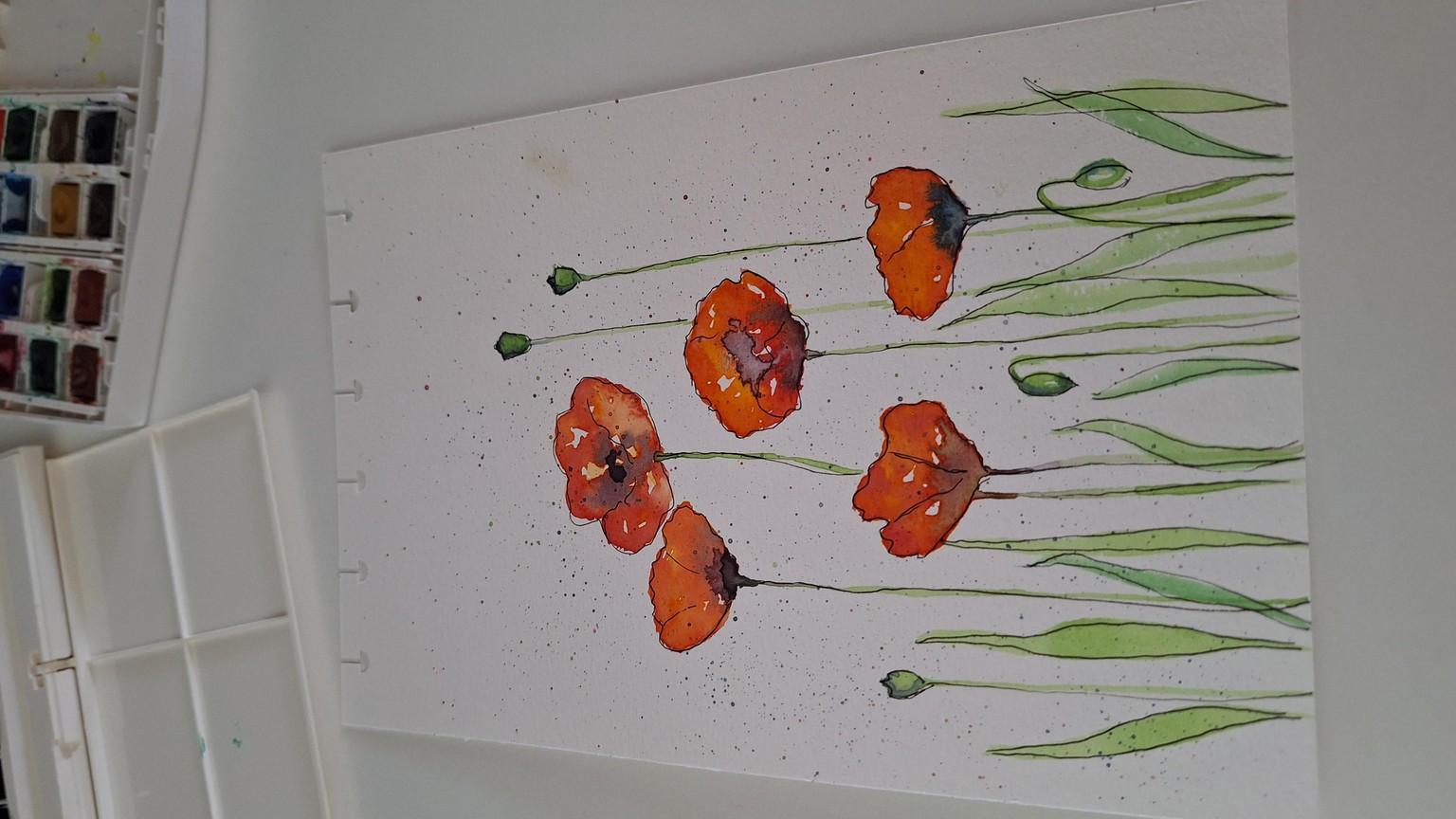 Poppy Flowers - image 2 - student project