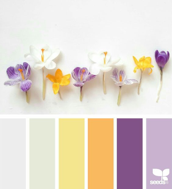 New Beginnings - image 1 - student project