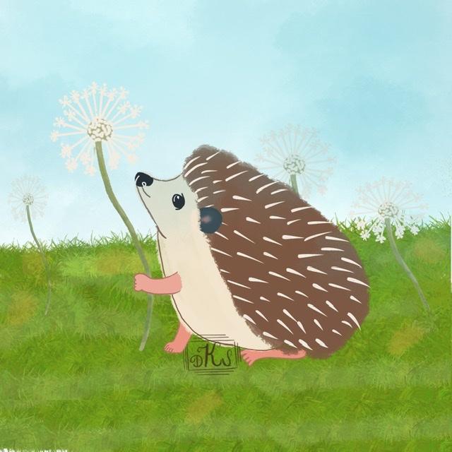 My hedgehogs - image 1 - student project