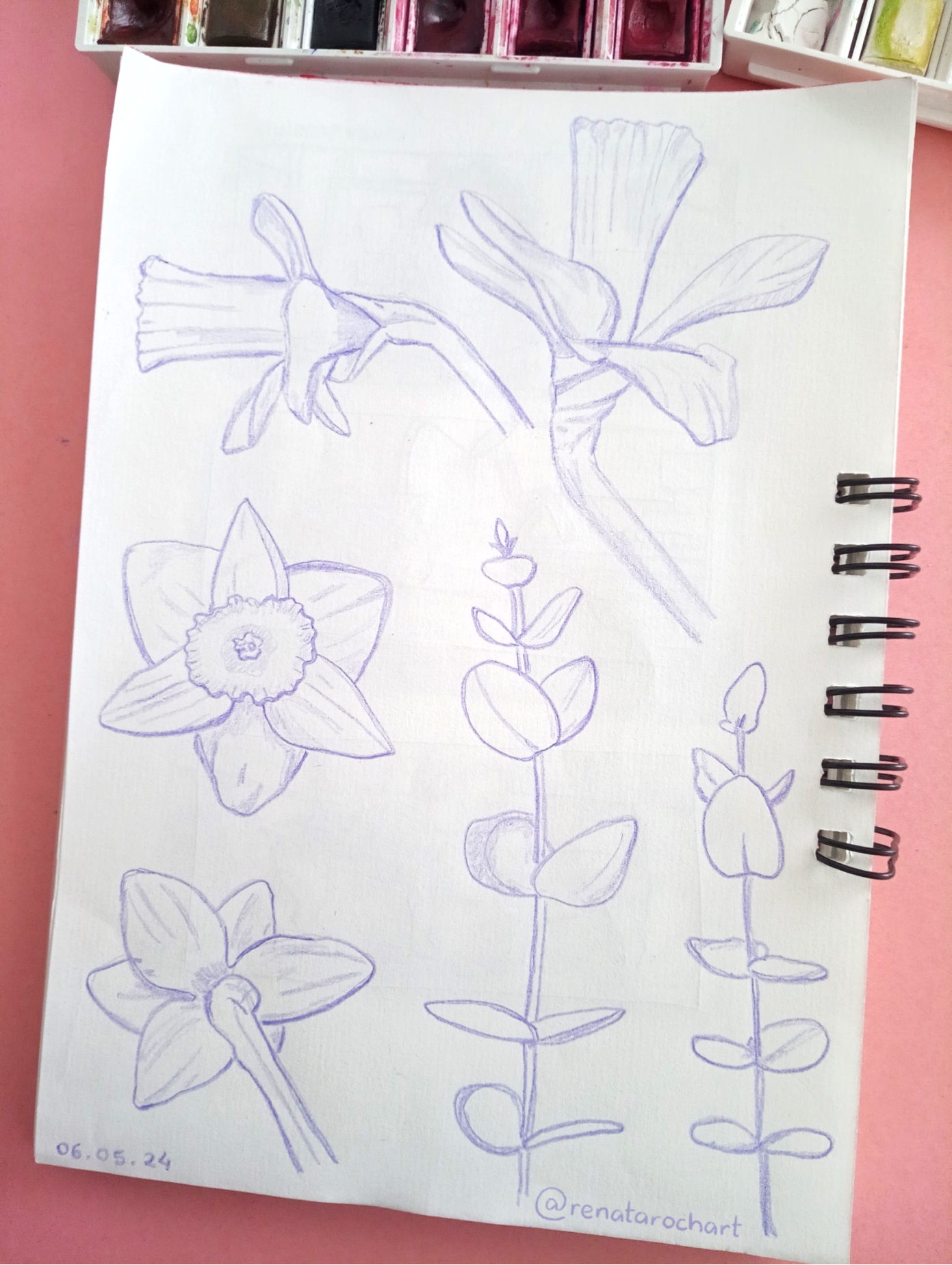 Botanicals - image 1 - student project