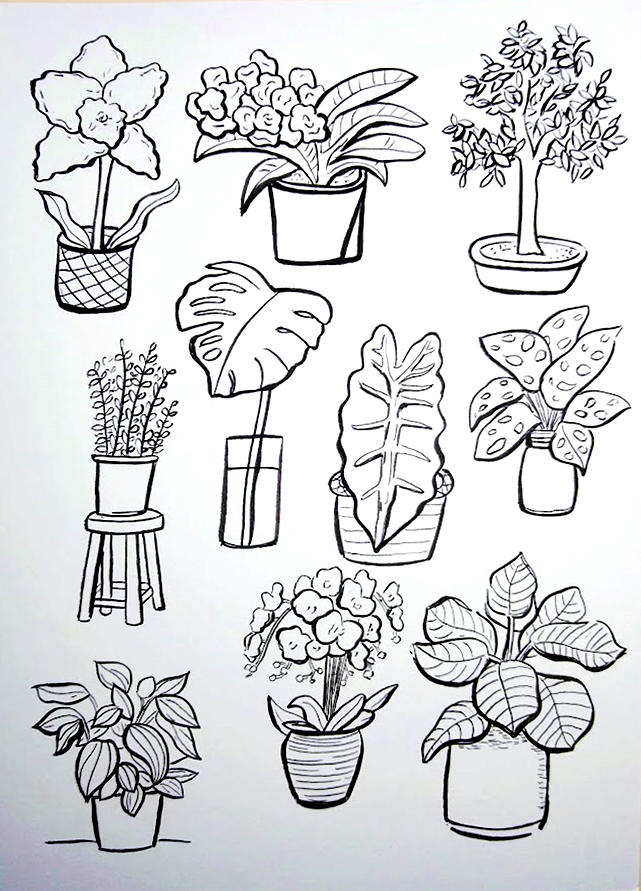 Plant Portraits - image 1 - student project