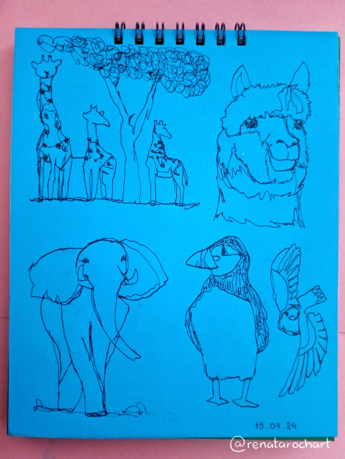 Continuous Line Drawing - image 6 - student project