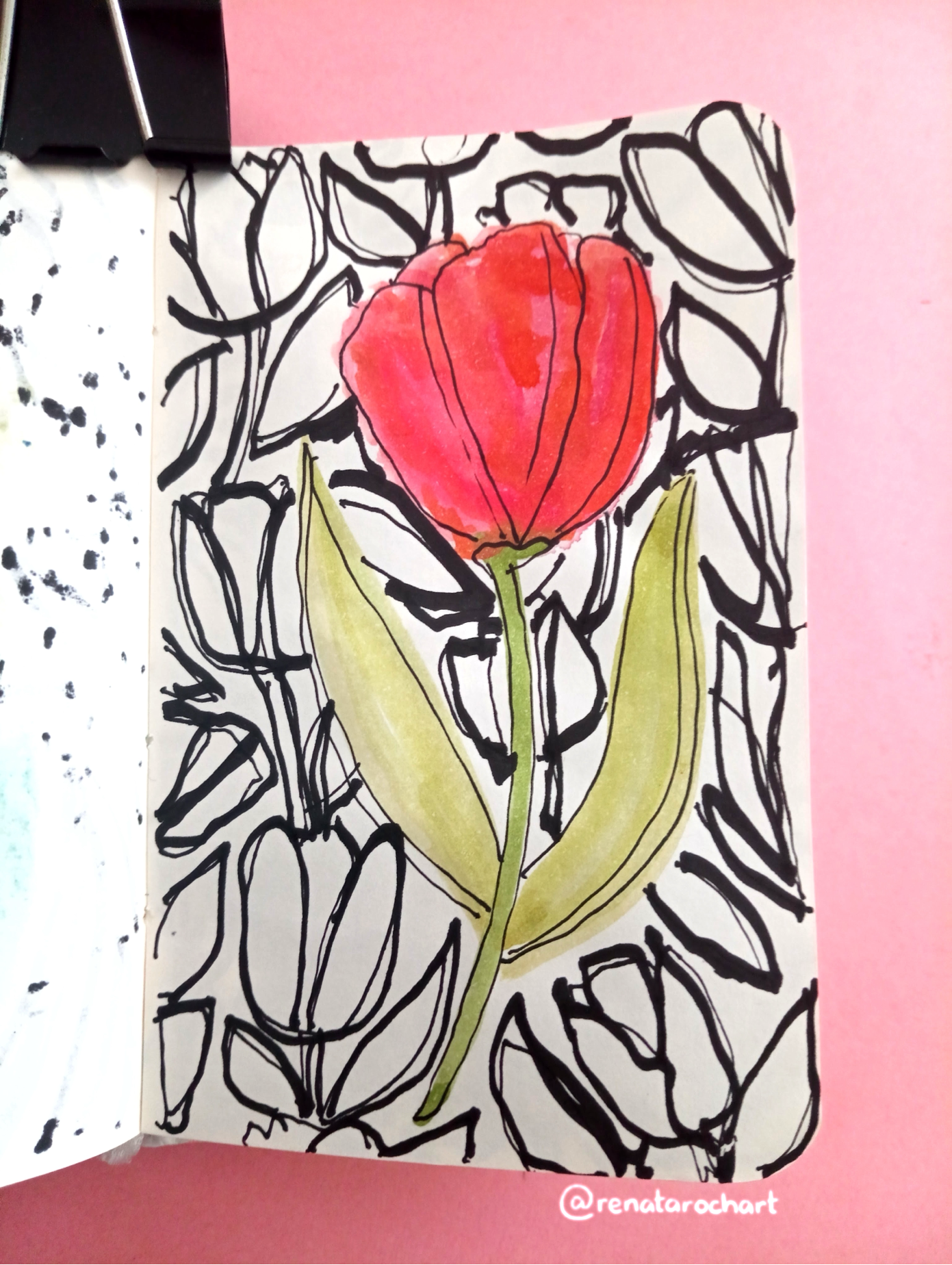 Botanical Sketchbook - image 4 - student project