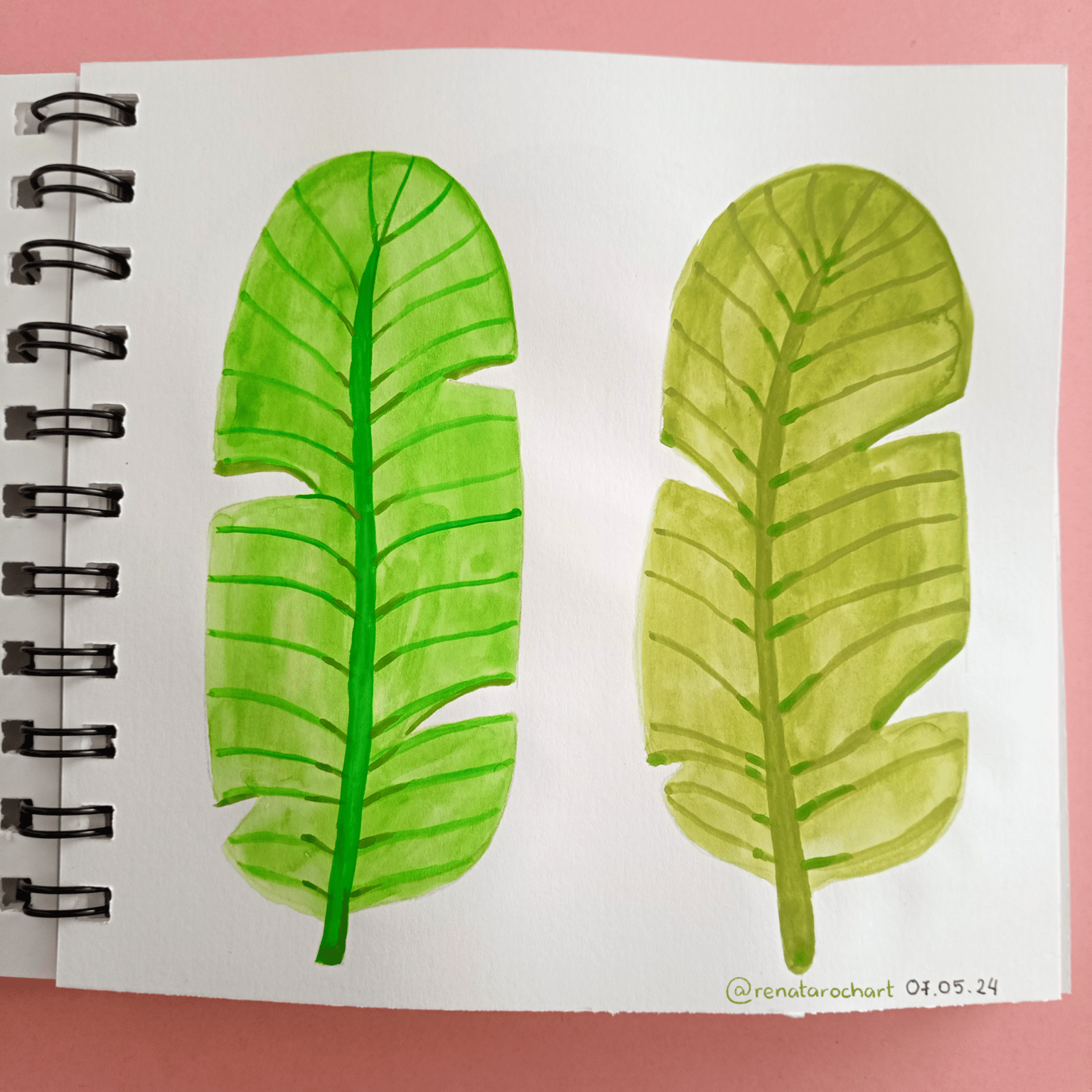 Tropical Leaves - image 2 - student project