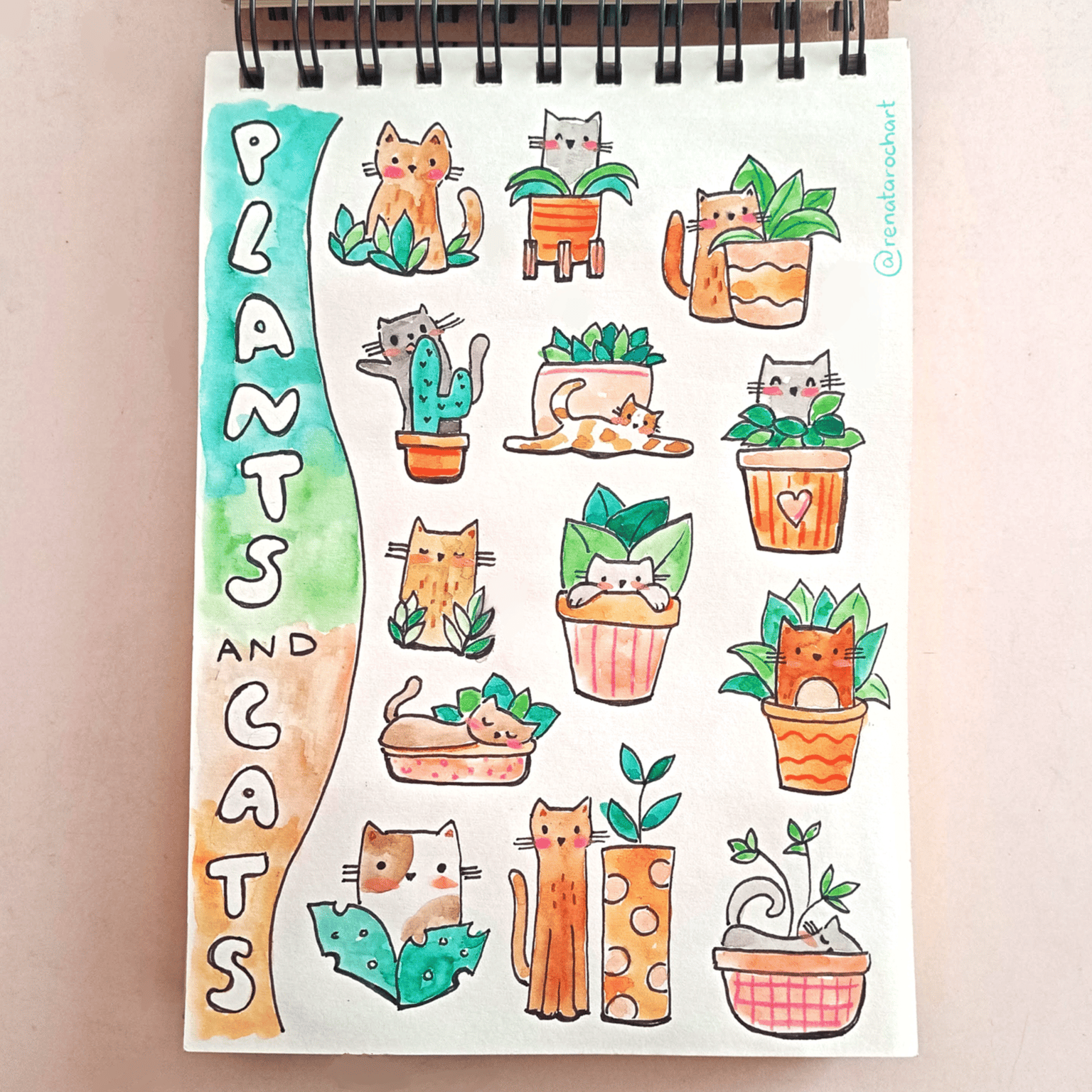 Plants and Cats - image 1 - student project