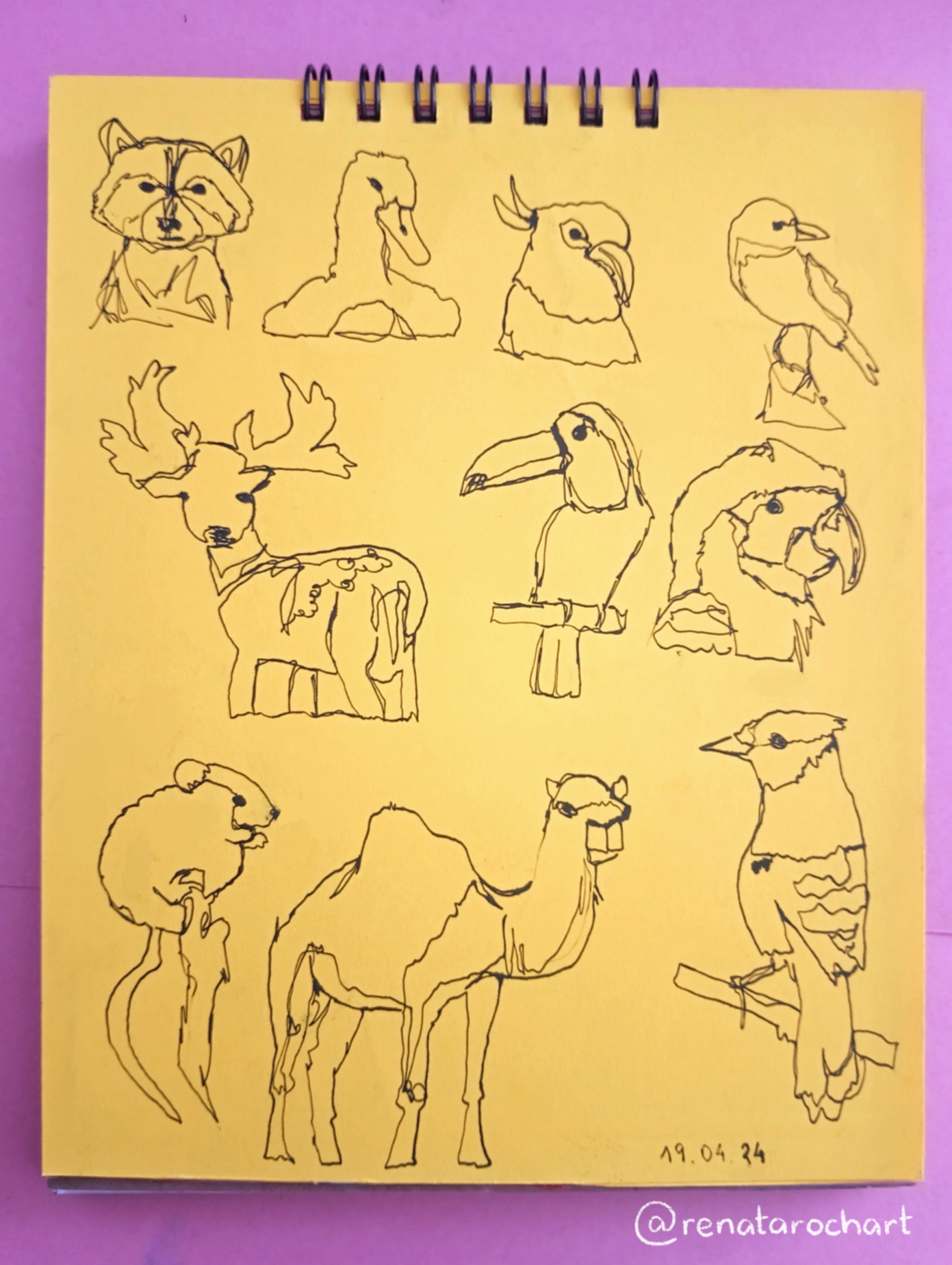 Continuous Line Drawing - image 5 - student project