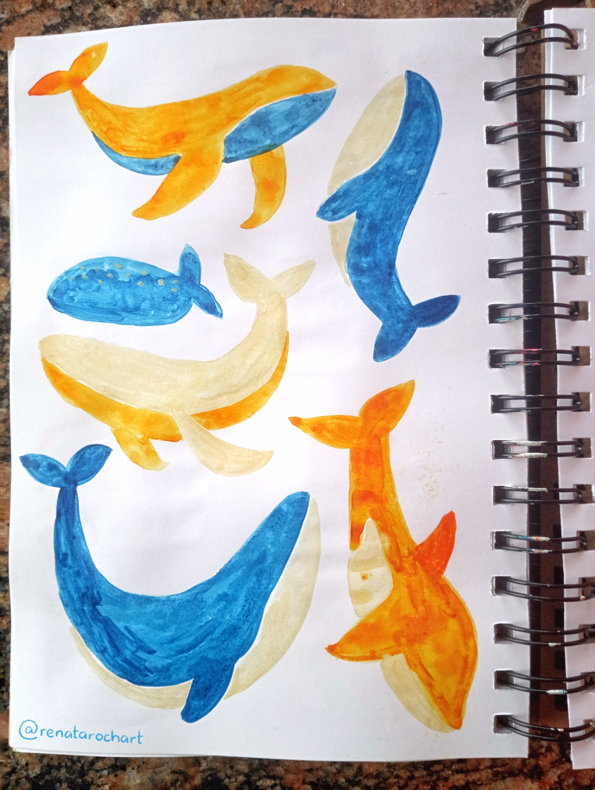 Watercolor Collection - image 4 - student project