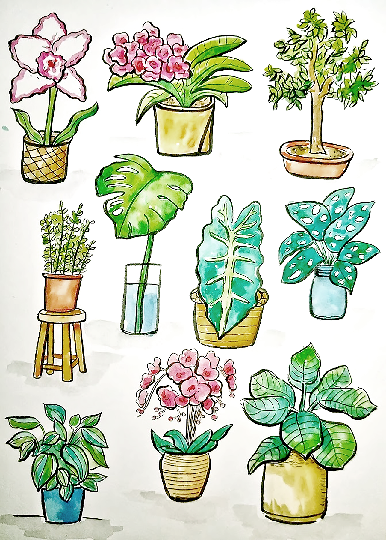 Plant Portraits - image 2 - student project
