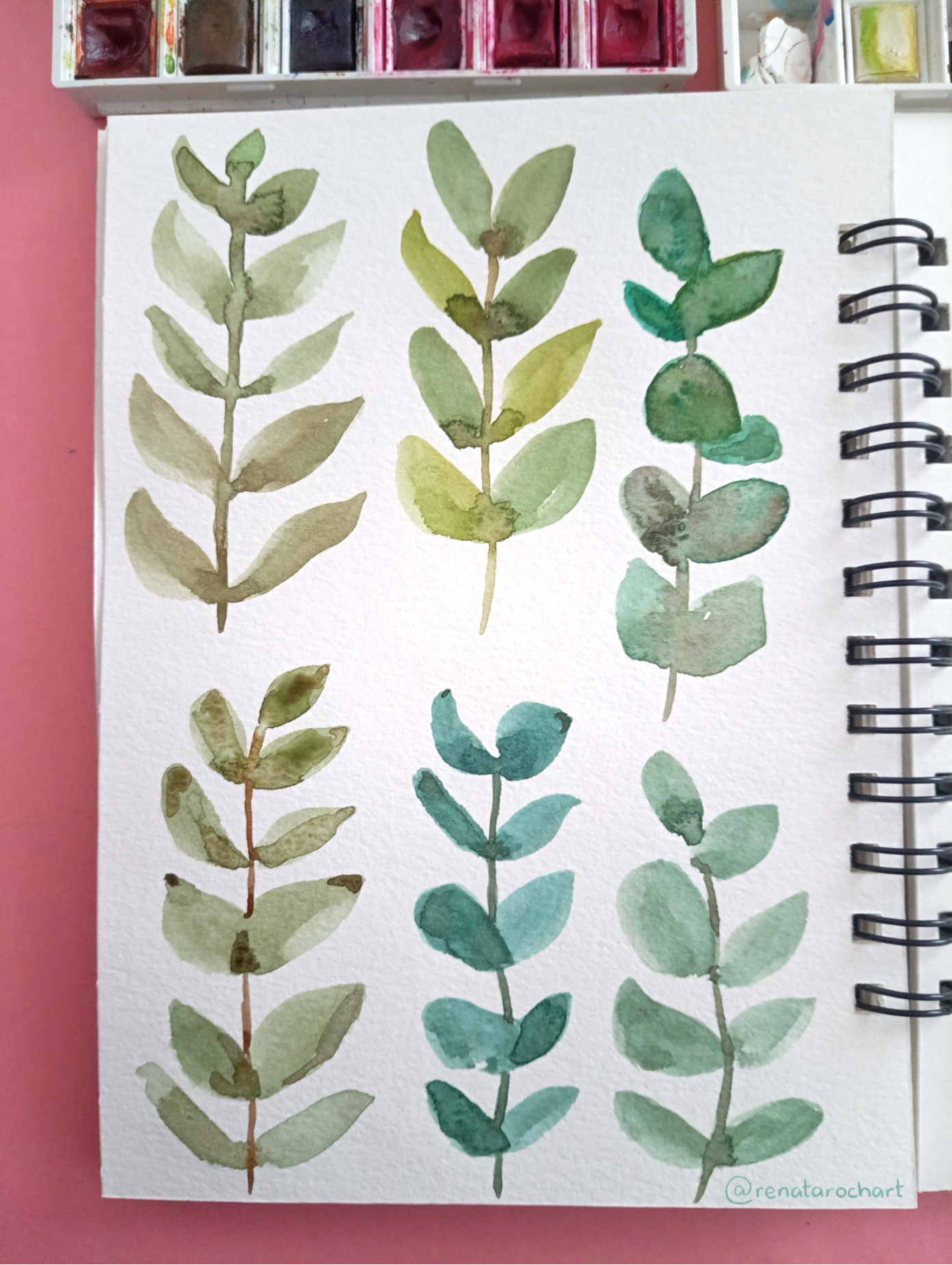 Botanicals - image 7 - student project