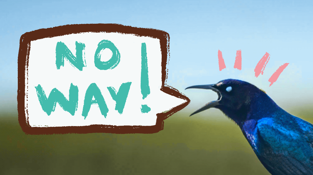 Animated Stickers - image 4 - student project