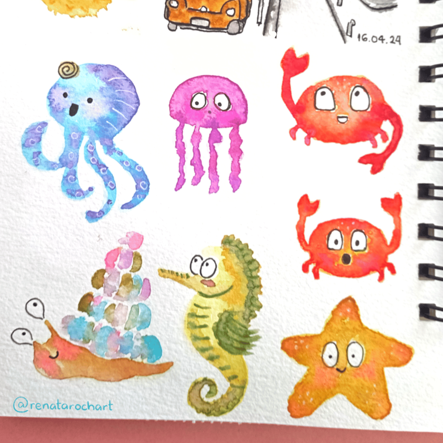 Marine Animals - image 1 - student project