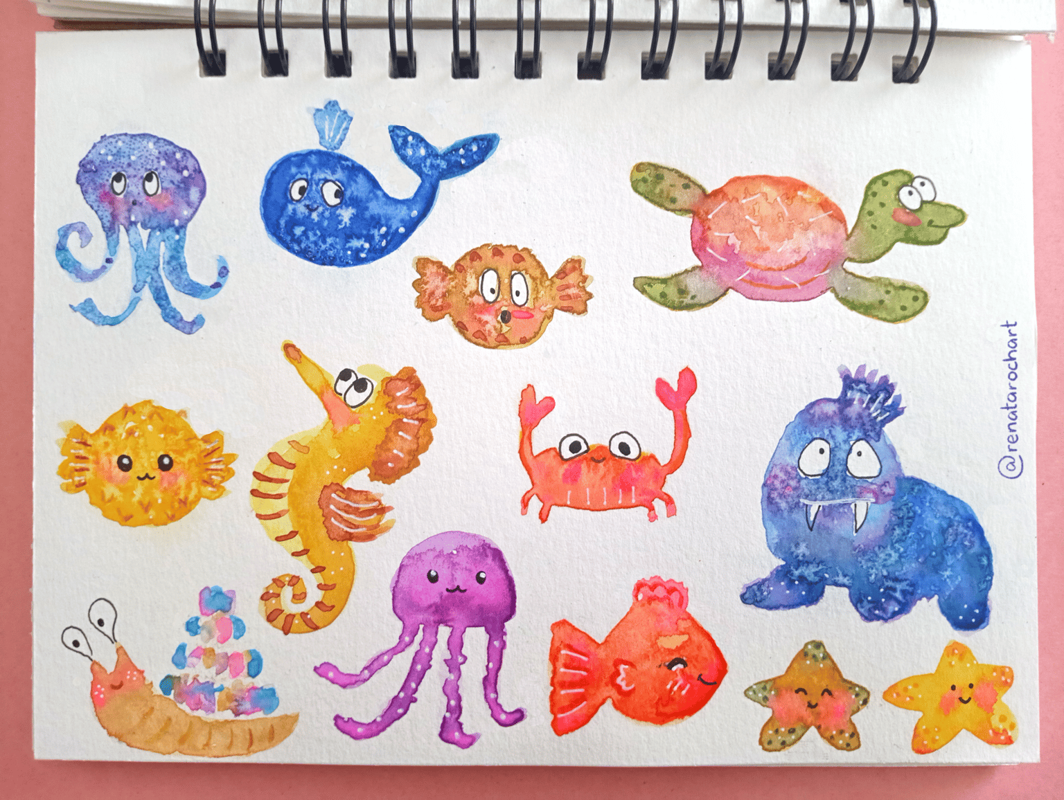 Marine Animals - image 2 - student project